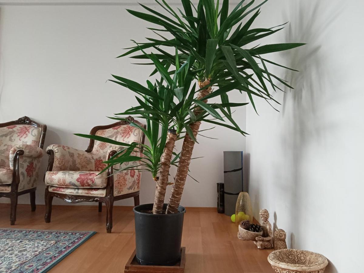 Single Room, Одноместная Комната В Доме, Chambre D'Une Personne, Habitacion Individual Istanbul Eksteriør bilde